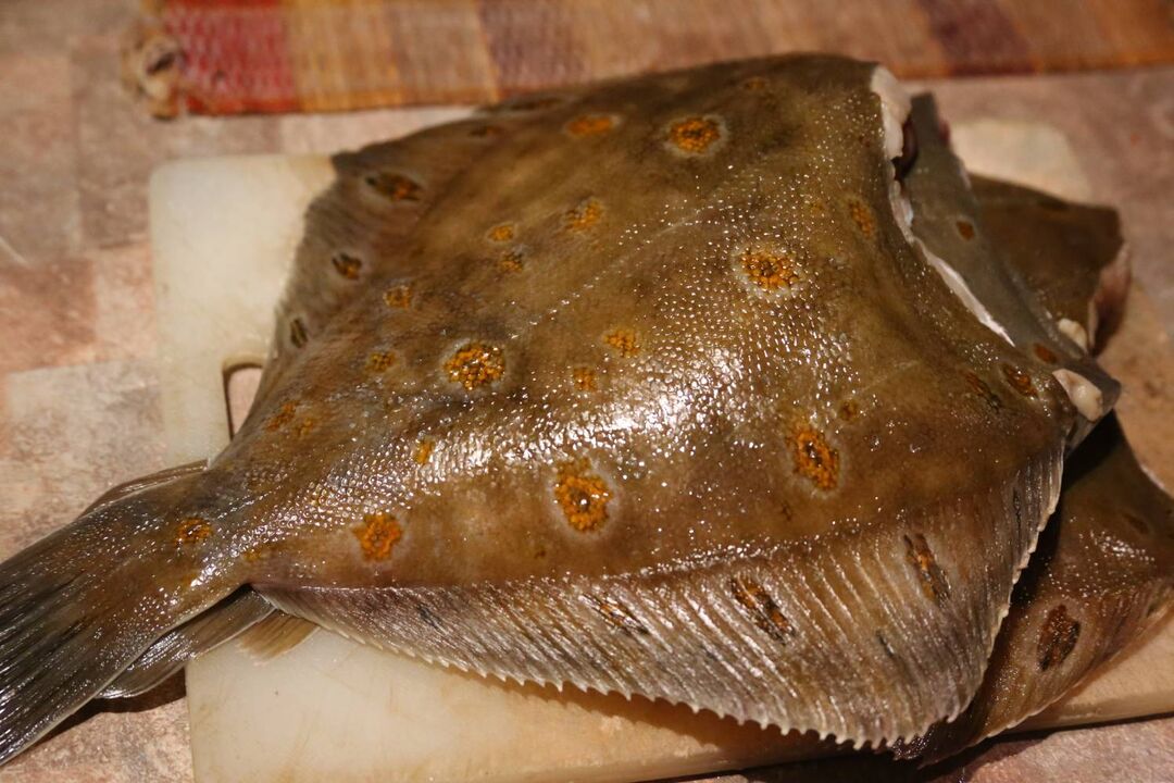 flounder potentziarako